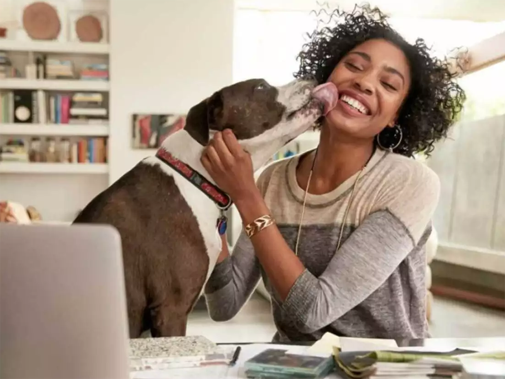 conecta-reforma-mulher-negra-home-office-brincando-cachorro